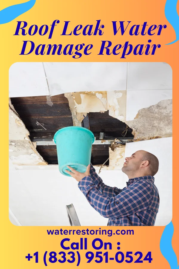 Roof Leak Water Damage Repair in Mountain Green, UT